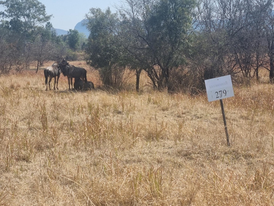 Commercial Property for Sale in La Camargue Private Country Estate North West